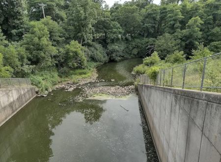 Pine Lake State Park Campground