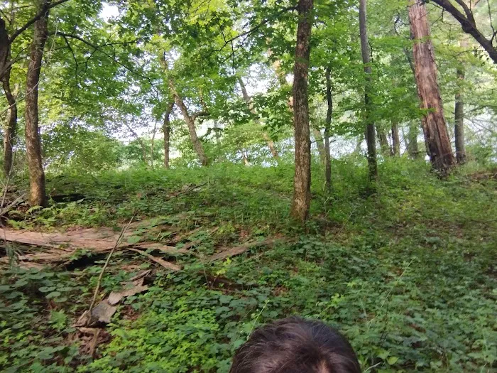 Pine Lake State Park Campground Picture 8