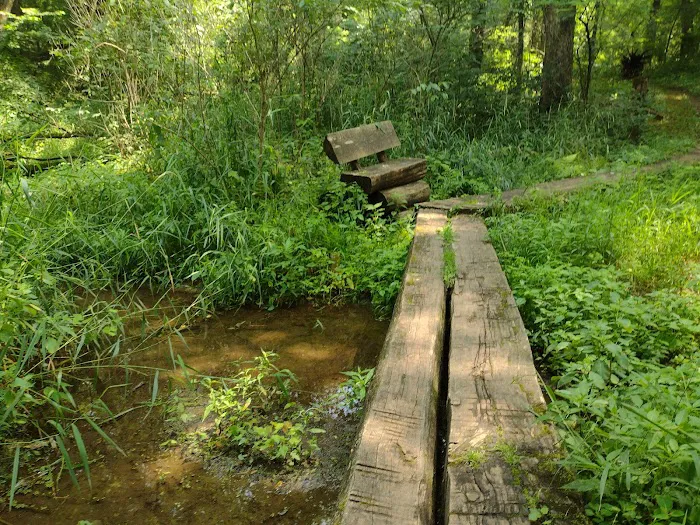 Pine Lake State Park Campground Picture 6