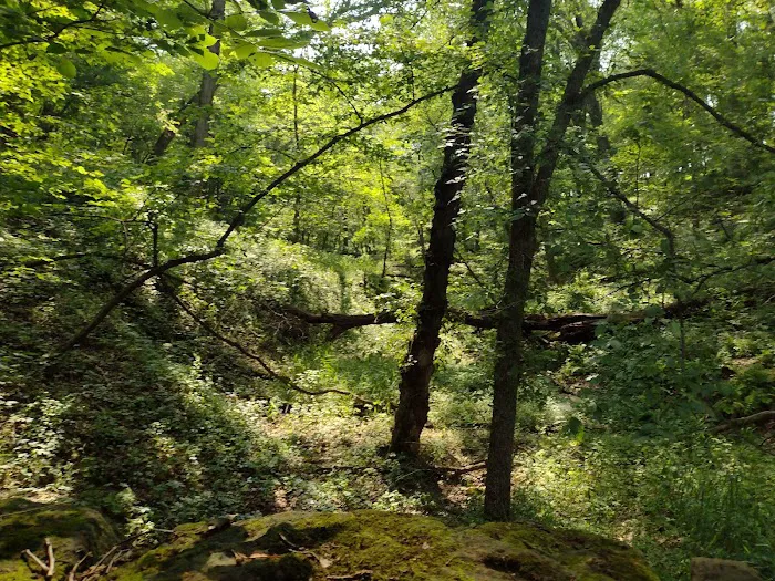 Pine Lake State Park Campground Picture 9