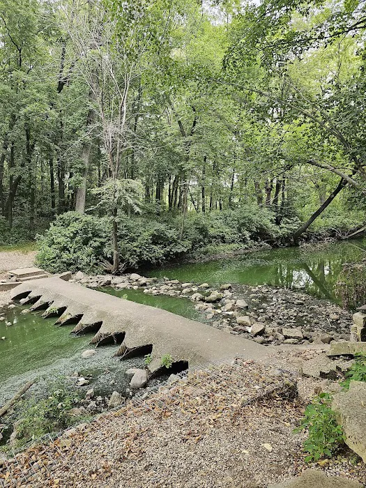 Beeds Lake Campground Picture 10