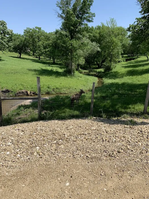Gehrke's Lake and Campground Picture 9