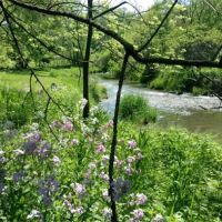 Lost Arrow Campground (55+ seasonal campsites) ico