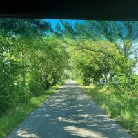 Arbuckle Mountain Bluegrass Music Park ico