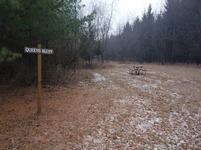#8 Queens Bluff camp site Picture 1