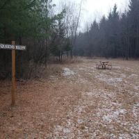 #8 Queens Bluff camp site ico