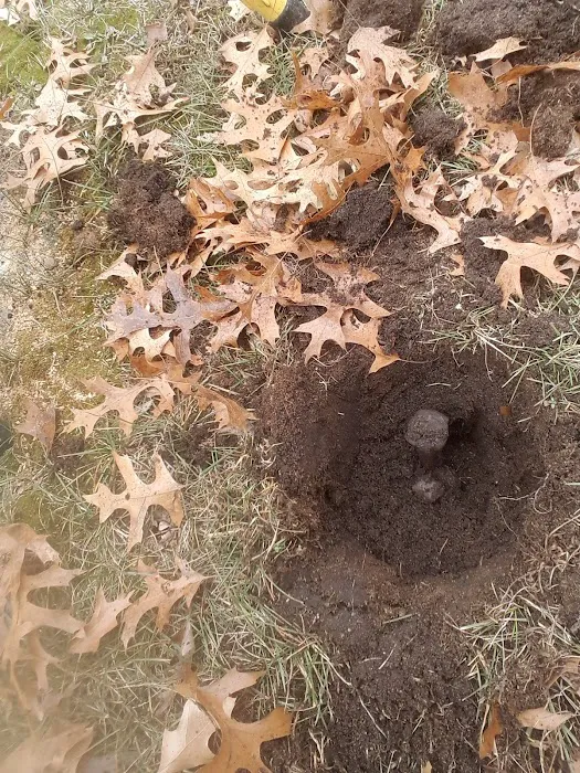 Sandy Hill Campground Picture 2