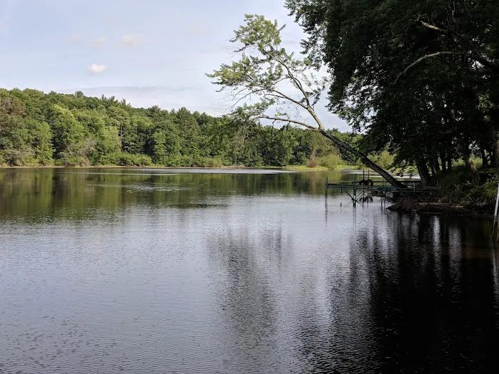 LeMere's Campground Picture 5