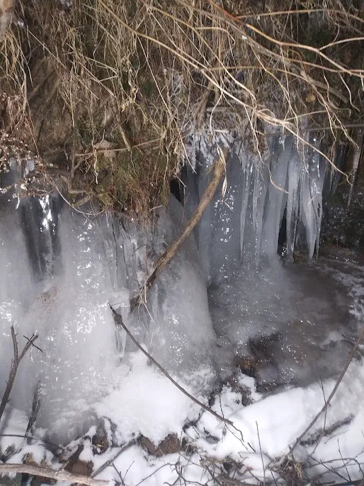 Harstad County Park Picture 6