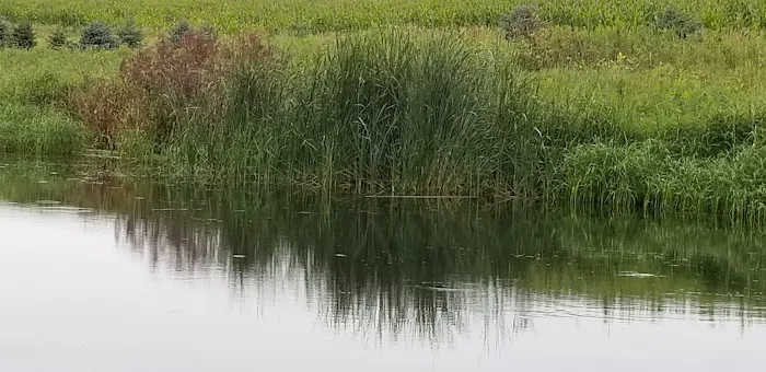 Oakwoods Trails Campground Picture 5
