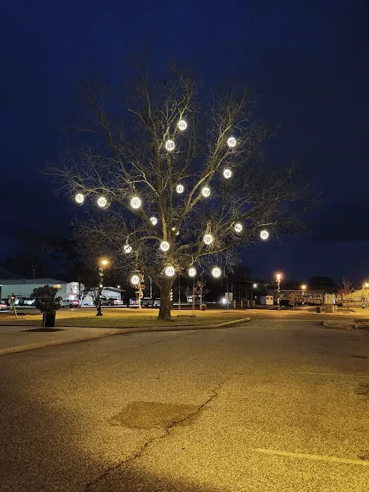 Amazing Acres RV Park Picture 6