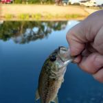 Corn Patch Corner Campground / RV Park