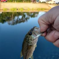 Corn Patch Corner Campground / RV Park ico