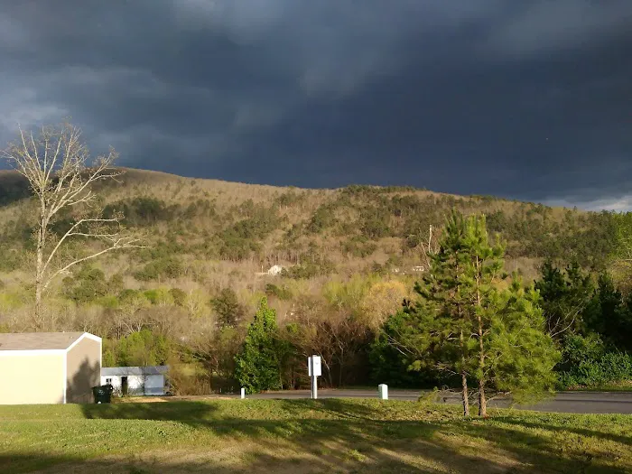 Lake Hamilton Estates Picture 4