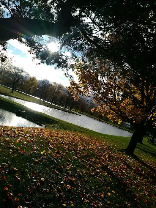 Dorchester Park and Campground Picture 1