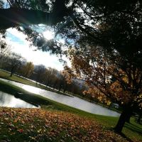 Dorchester Park and Campground ico