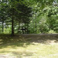 Camp New Wood County Campground ico