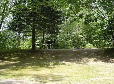 Camp New Wood County Campground