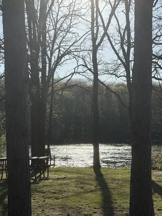Camp New Wood County Campground Picture 5