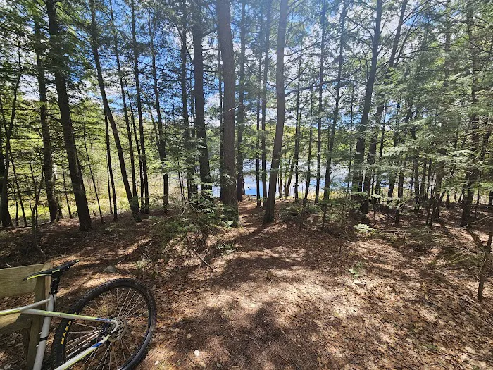 Dog Lake Shelter Picture 1