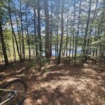 Dog Lake Shelter