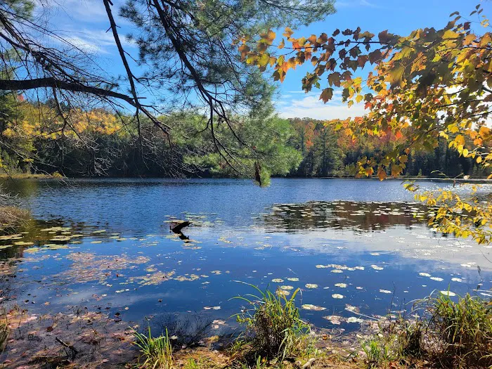 Dog Lake Shelter Picture 6