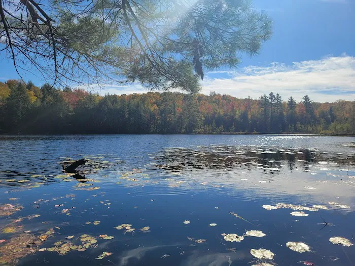 Dog Lake Shelter Picture 10