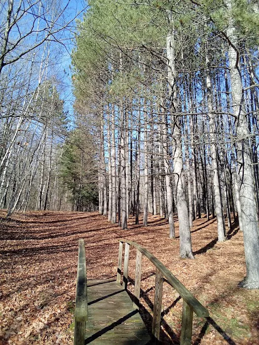 Wood Lake Campground Picture 4
