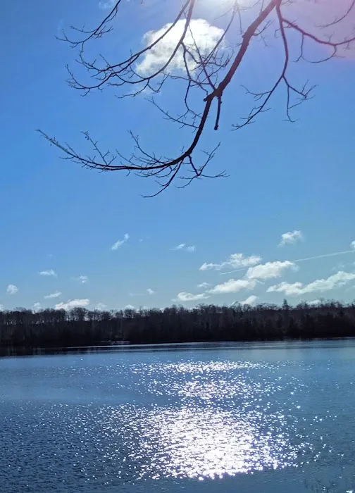 Wood Lake Campground Picture 7