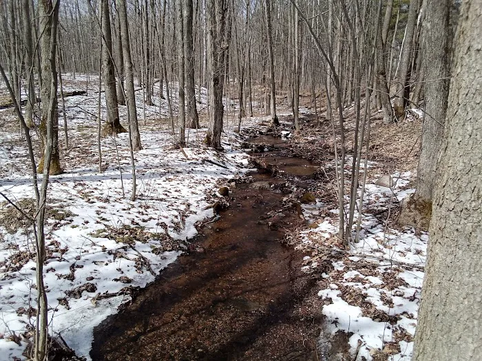 Wood Lake Campground Picture 9
