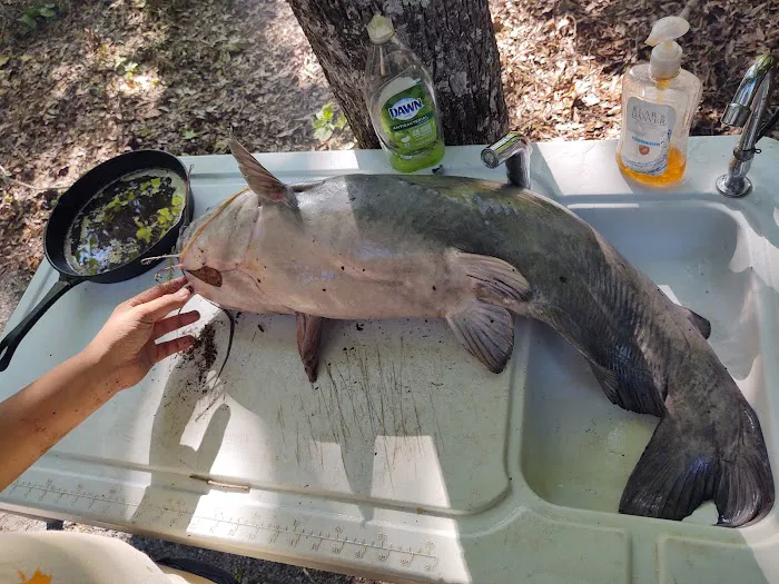Chilatchee Creek Campground Picture 3
