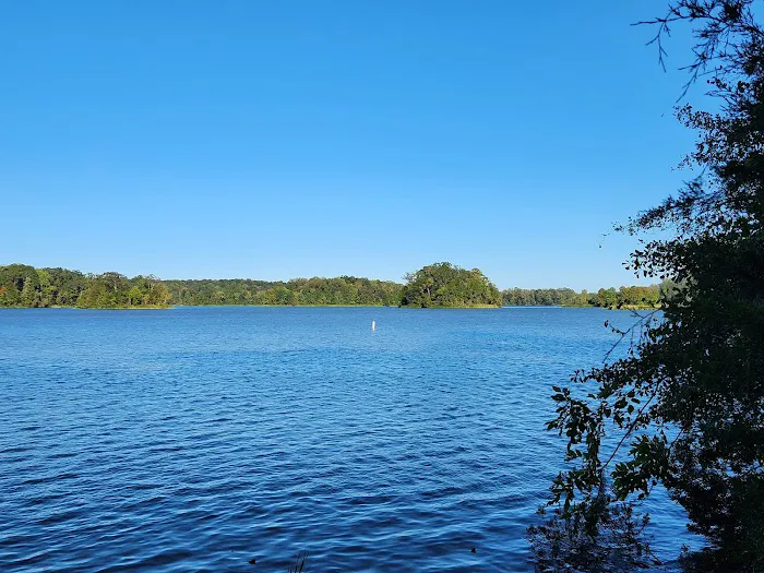 Chilatchee Creek Campground Picture 5