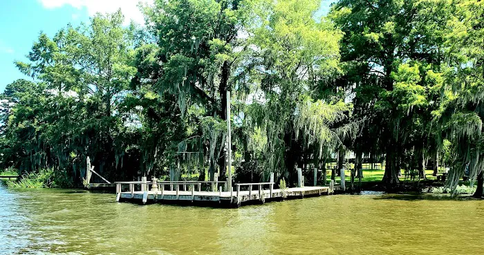 Georgia Veterans State Park Campground Picture 3