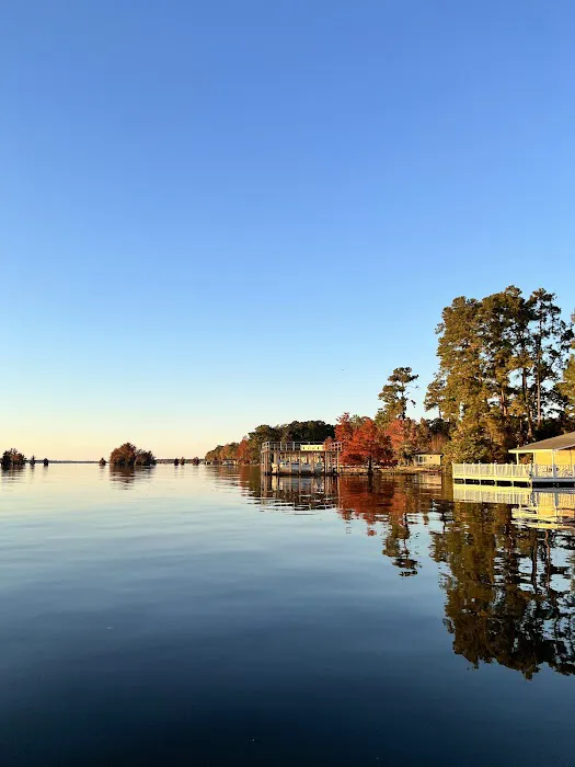 Georgia Veterans State Park Campground Picture 4