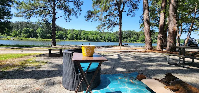 Georgia Veterans State Park Campground Picture 6