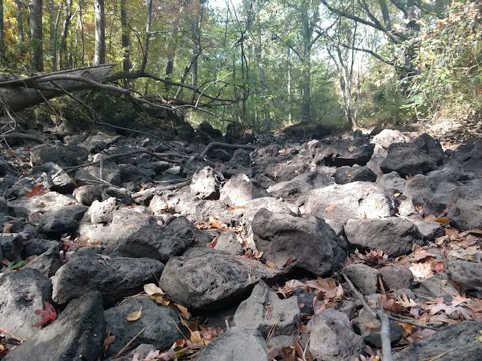 Dooly Campground Picture 10