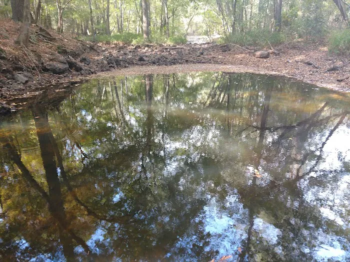 Dooly Campground Picture 9