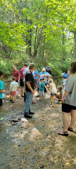 Shark Tooth Creek Picture 10