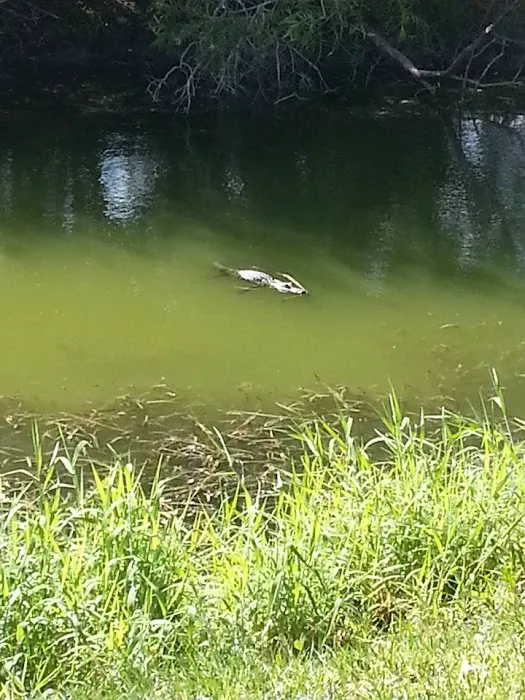 Saddle Creek Campground Picture 3