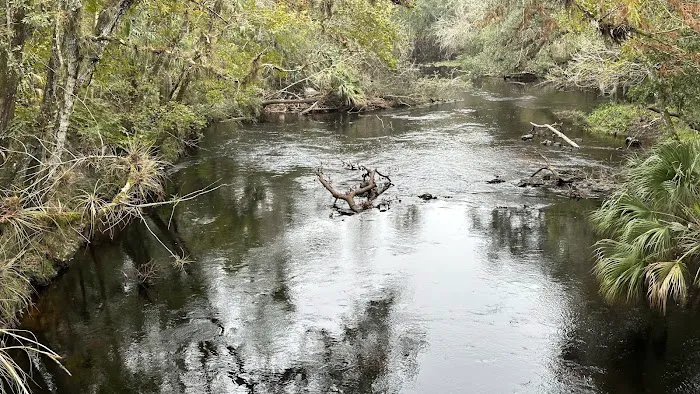 Hillsborough River State Park Campground Picture 2