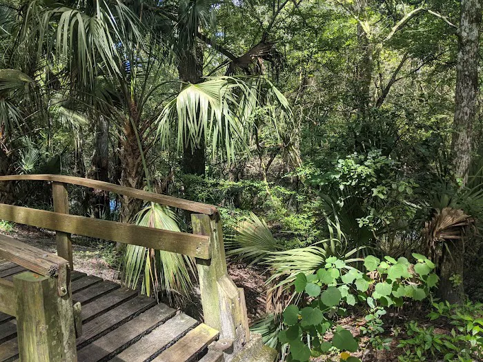 Hillsborough River State Park Campground Picture 1