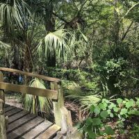 Hillsborough River State Park Campground ico