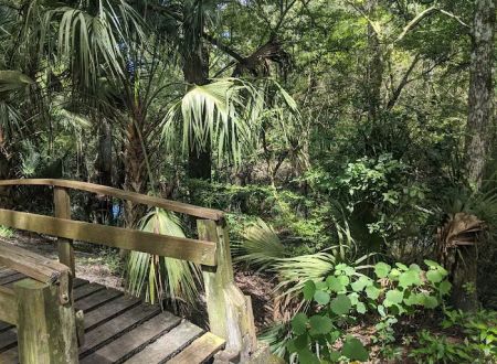 Hillsborough River State Park Campground