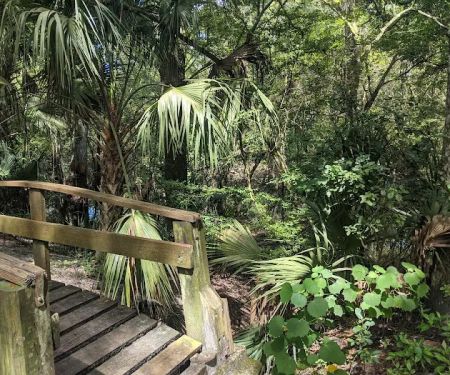 Hillsborough River State Park Campground