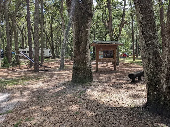 Hillsborough River State Park Campground Picture 3