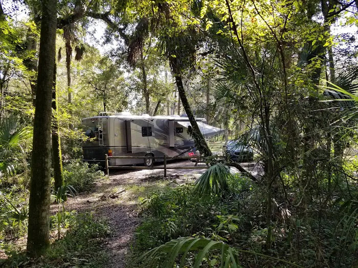 Hillsborough River State Park Campground Picture 6