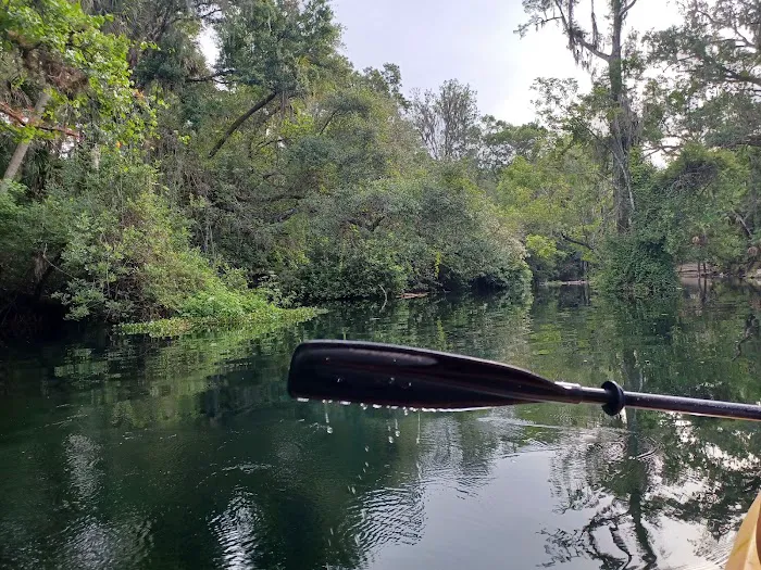 Hillsborough River State Park Campground Picture 9