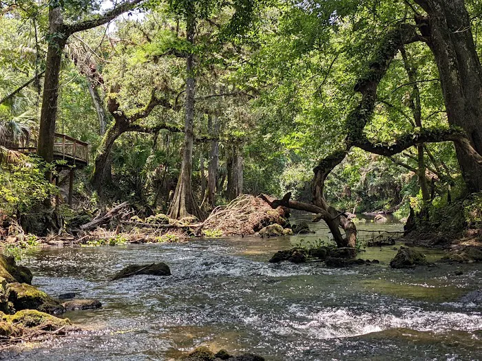 Hillsborough River State Park Campground Picture 10