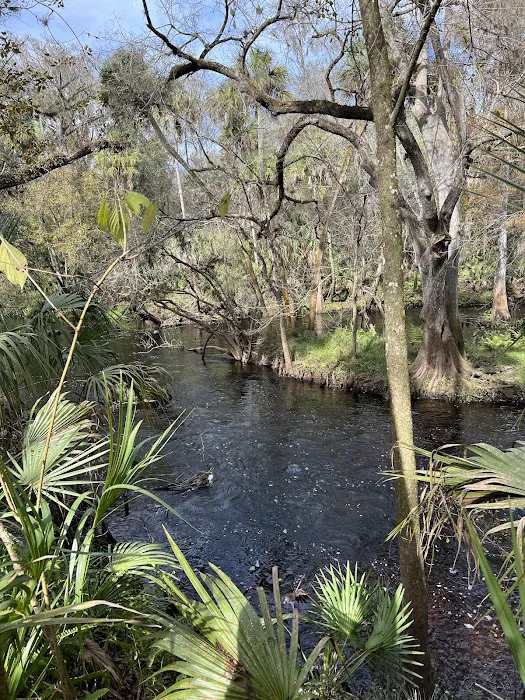 Timberline Glamping at Hillsborough River Picture 5