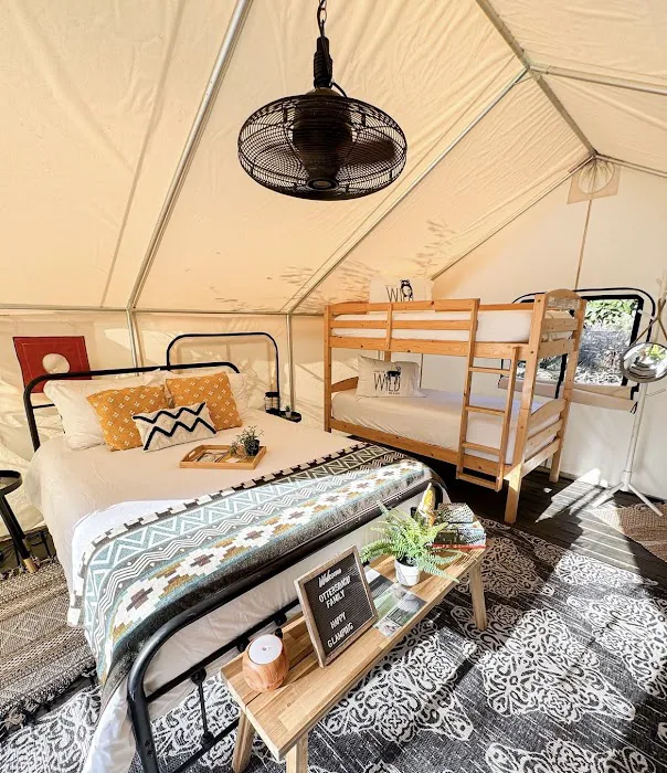 Timberline Glamping at Hillsborough River Picture 7